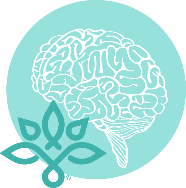 The brain