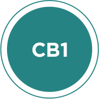 CB1