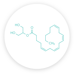 Anandamide (AEA)